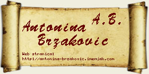 Antonina Brzaković vizit kartica